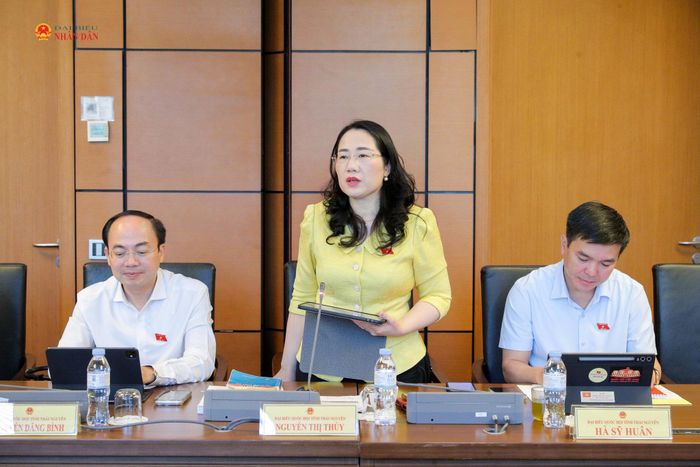 ĐBQH Nguyễn Thị Thủy (Thái Nguyên) phát biểu