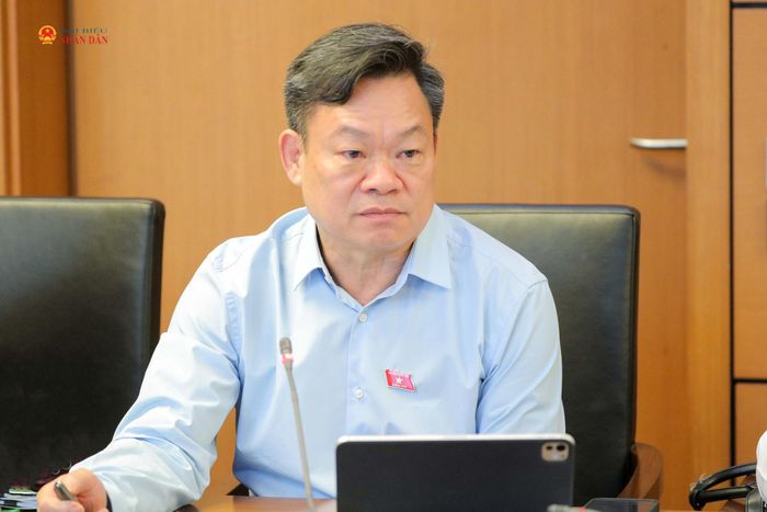 ĐBQH Hoàng Duy Chinh (Thái Nguyên) phát biểu