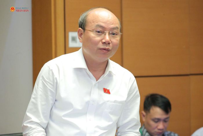 ĐBQH Hoàng Văn Nghĩa (Quảng Ngãi) phát biểu