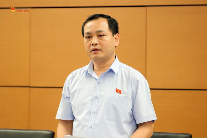 ĐBQH Lê Văn Đông (TP. Hồ Chí Minh) phát biểu