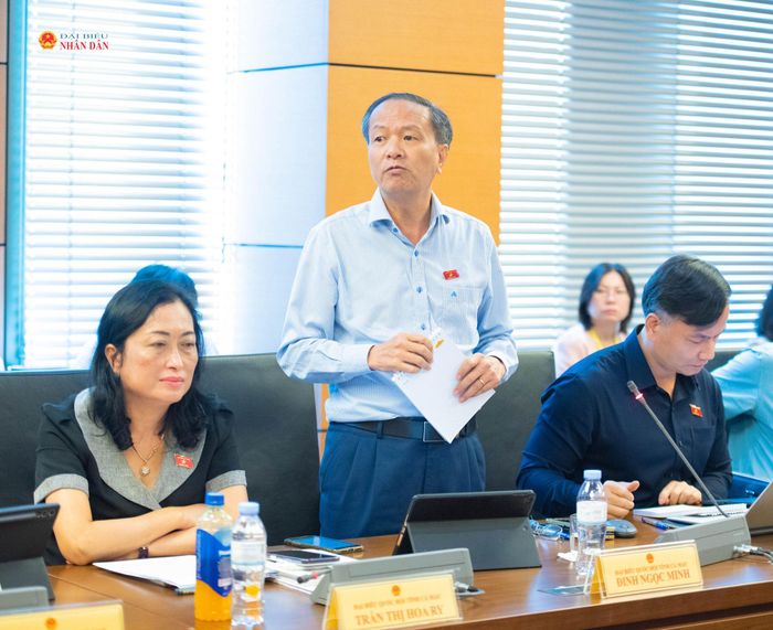 ĐBQH Đinh Ngọc Minh (Cà Mau) phát biểu. Ảnh: Xuân Quý