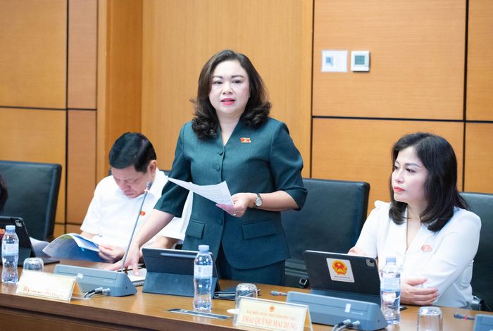 ĐBQH Đặng Bích Ngọc (Phú Thọ) phát biểu. Ảnh: Xuân Quý