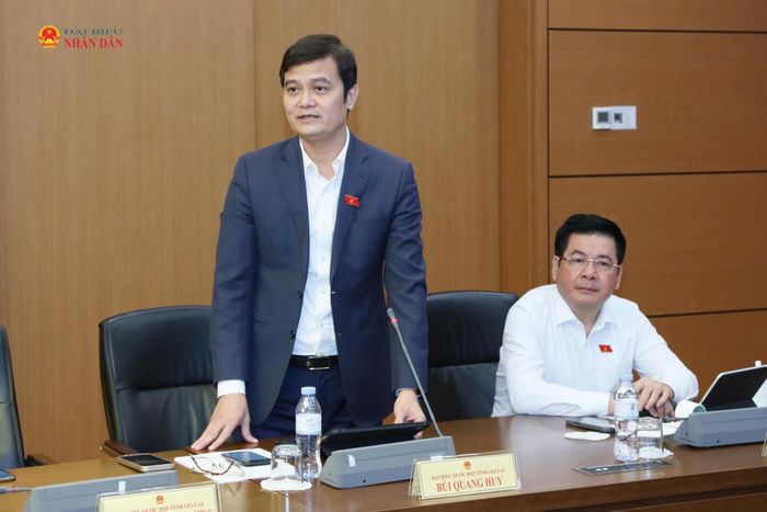 ĐBQH Bùi Quang Huy (Gia Lai) phát biểu thảo luận tổ. Ảnh: An Nhiên