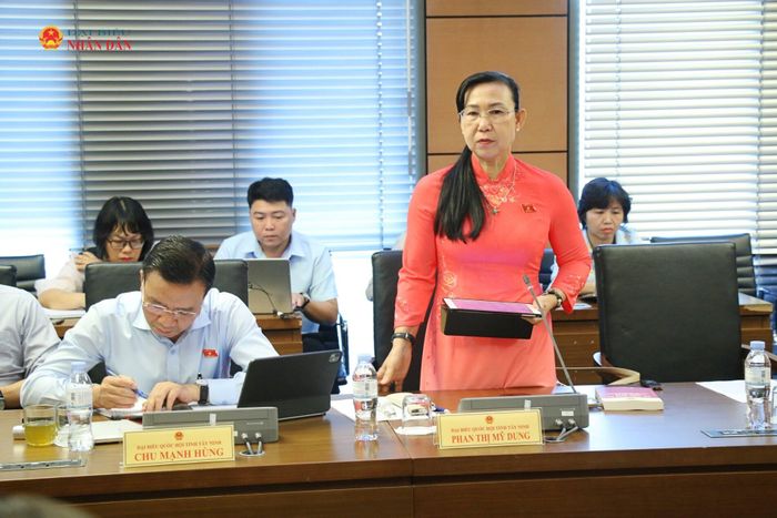 ĐBQH Phan Thị Mỹ Dung (Tây Ninh) phát biểu tại phiên thảo luận tổ. Ảnh: Đắc Trường