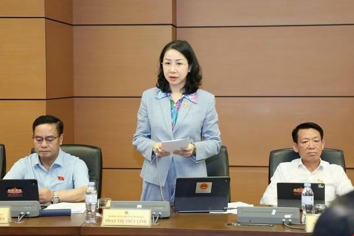 Đại biểu Phan Thị Thuỳ Linh thảo luận tại tổ.