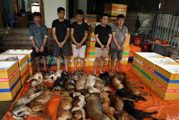  Các đối tượng cùng tang vật. 