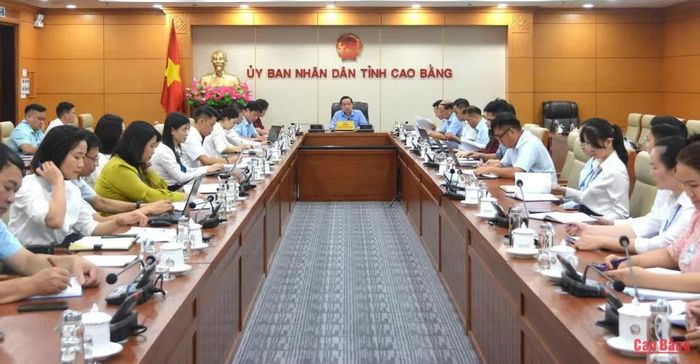 Các đại biểu dự buổi làm việc.