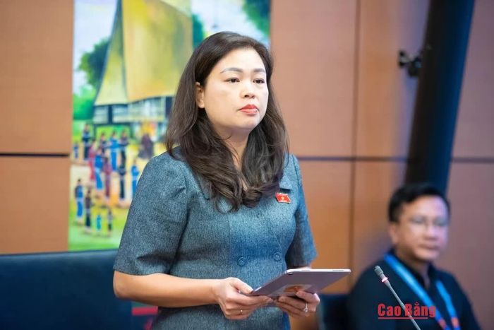 Đại biểu Đoàn Thị Lê An, Tỉnh ủy viên, Phó Chủ tịch Ủy ban Mặt trận Tổ quốc tỉnh, Chủ tịch Hội Liên hiệp Phụ nữ tỉnh phát biểu thảo luận.