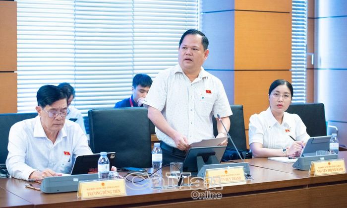 Đại biểu Nguyễn Duy Thanh, Phó Chủ tịch Hiệp hội Doanh nghiệp tỉnh Cà Mau, Uỷ viên Uỷ ban Kinh tế và Tài chính của Quốc hội,