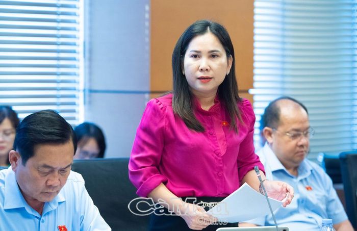 Đại biểu Lê Thị Ngọc Linh, Phó Chủ tịch Uỷ ban MTTQ Việt Nam tỉnh Cà Mau, Chủ tịch Hội Liên hiệp Phụ nữ tỉnh, Uỷ viên Uỷ ban Công tác đại biểu của Quốc hội, đề nghị hoàn thiện cơ chế lưu trữ thông tin nguồn gốc, xác minh điều kiện nhận nuôi và bảo vệ trẻ em có nguy cơ bị xâm hại.