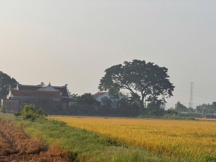 Sản xuất nông nghiệp tiếp tục giữ vai trò quan trọng trong phát triển kinh tế nông thôn tại xã Vũ Dương. Ảnh: Thanh Hải