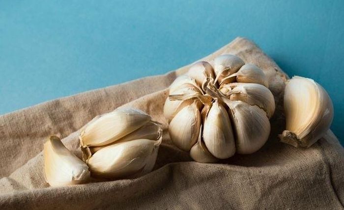 Đặc tính chống oxy hóa của các hợp chất trong tỏi cũng không có nghĩa ăn tỏi có thể ngăn ngừa hoàn toàn nhồi máu cơ tim hoặc đột quỵ. Ảnh minh họa