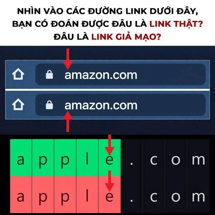 Ảnh: Cục An ninh mạng↵