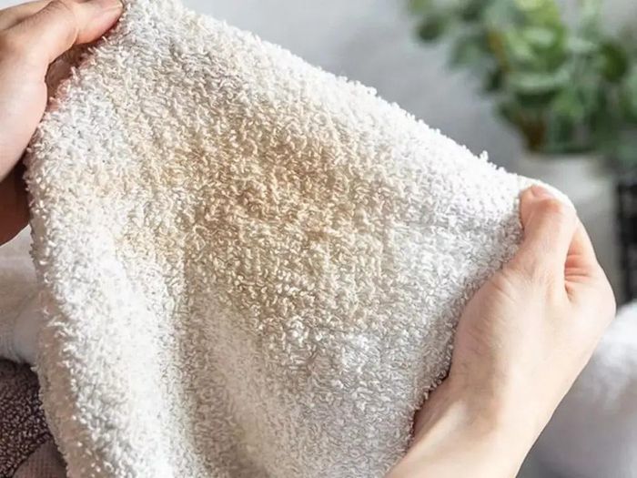 Nếu không được phơi khô hoàn toàn, khăn tắm dễ xuất hiện mùi ẩm hoặc nấm mốc - Ảnh minh hoạ