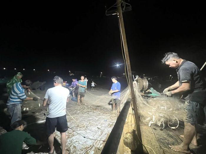  Ngư dân nhanh tay gỡ, tập kết và phân loại cá ngay tại bờ biển. Công việc diễn ra khẩn trương nhằm bảo đảm chất lượng hải sản, đồng thời giúp việc mua bán với người dân và thương lái được thuận lợi 