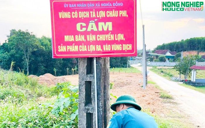 Tiến hành cắm biển cảnh báo tại khu vực có dịch để nâng cao ý thức phòng ngừa của người dân.
