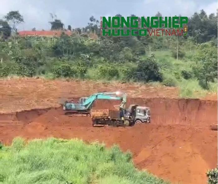 Cơ quan chức năng kết luận diện tích vi phạm trên thuộc trường hợp không còn khả năng phục hồi lại hiện trạng ban đầu