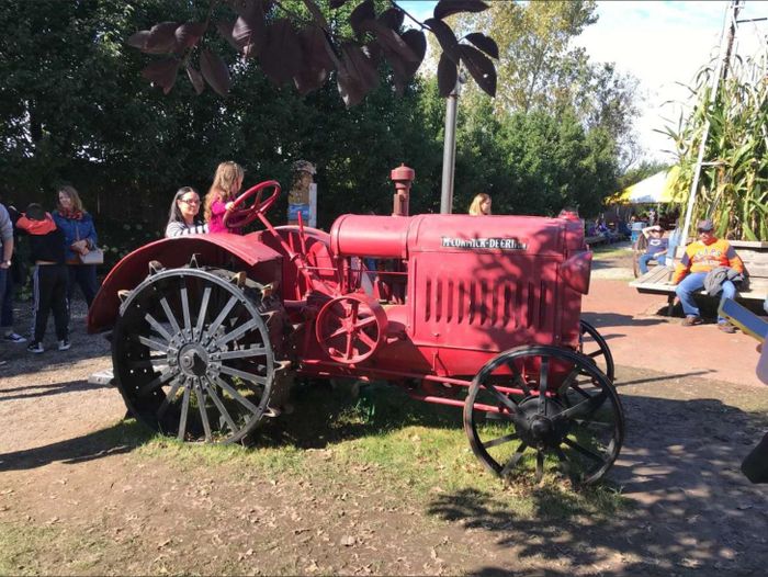 Bengtson’s Pumpkin Farm còn xây dựng một công viên giải trí thu nhỏ xung quanh mùa thu hoạch. Ảnh: Enjoy Illinois