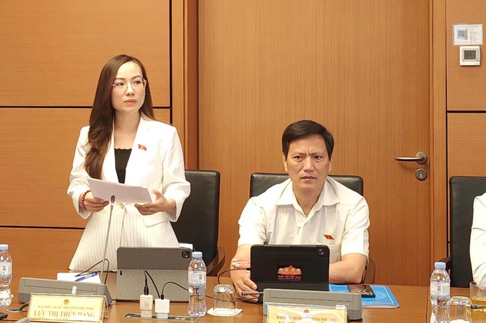 ĐBQH Lưu Thị Thúy Hằng phát biểu tại thảo luận tổ.