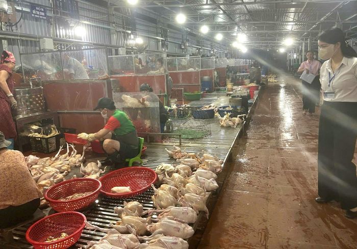 Lực lượng chức năng xã Phúc Thọ kiểm tra vệ sinh an toàn thực phẩm tại khu vực giết mổ gia cầm ở điểm giết mổ gia súc gia cầm tập trung tạm thời của xã. Ảnh: Hồng HTNNMT