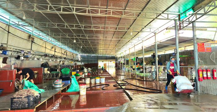 Điểm giết mổ gia súc gia cầm tập trung tạm thời của hộ ông Nguyễn Hưng Thịnh xã Phúc Thọ được dọn dẹp vệ sinh sạch sẽ sau khi giết mổ động vật. Ảnh: Ánh Dương