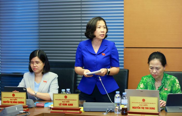 Đại biểu Lê Kim Anh phát biểu thảo luận. Ảnh: Văn Tuyến