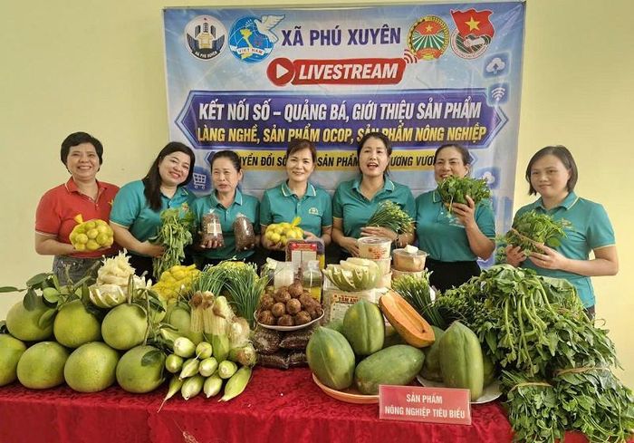 Hội Nông dân xã Phú Xuyên duy trì tổ chức các phiên livestream giới thiệu, quảng bá, mở rộng kênh tiêu thụ hàng nông sản do người dân sản xuất. Ảnh: PV