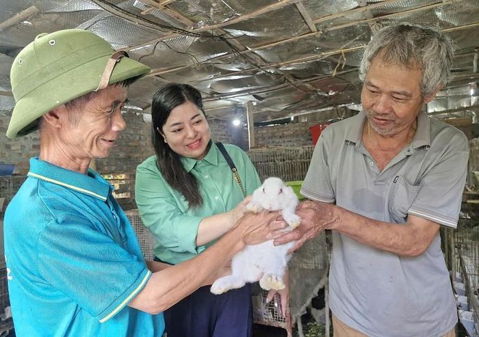 Mô hình chăn nuôi thỏ kết hợp với trồng rau, của, quả và ao hồ nuôi cá của gia đình ông Nguyễn Văn Đấu ở thôn Nam Quất mỗi năm cho thu nhập hàng trăm triệu đồng. Ảnh: PV