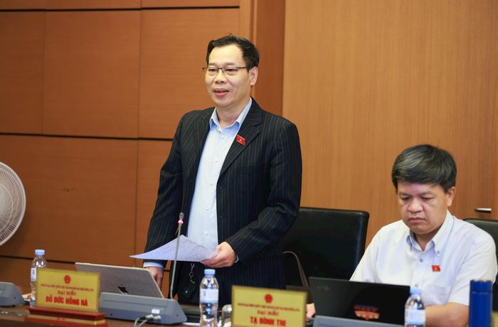 Đại biểu Đỗ Đức Hồng Hà (Đoàn thành phố Hà Nội) phát biểu thảo luận. Ảnh: Văn Tuyến