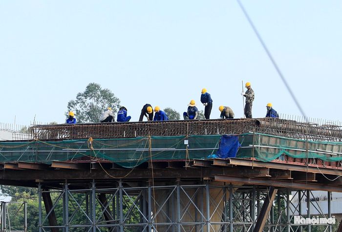 Công nhân tập trung thi công trụ đường dẫn lên cầu Tứ Liên.