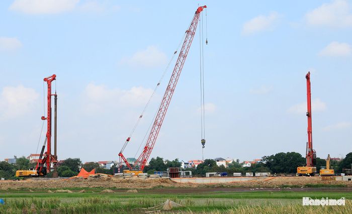 Dự án được triển khai theo phương thức đối tác công tư (PPP) bởi Liên danh Công ty cổ phần Đầu tư và Xây dựng giao thông Công Thành - Công ty TNHH Mặt Trời Cát Bà (thành viên Tập đoàn Sun Group).