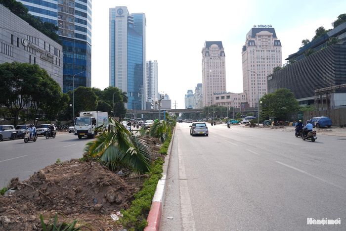 Việc cắt tỉa, di chuyển cây cần được thực hiện theo phương án được phê duyệt, vừa bảo đảm yêu cầu thi công, vừa hạn chế ảnh hưởng đến cảnh quan và môi trường đô thị.