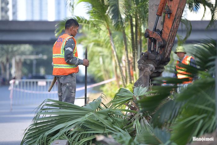 Đặc biệt, khu vực dự án nằm gần nhiều tòa nhà văn phòng, khu đô thị và các tuyến đường huyết mạch. Trong thời gian thi công, việc tổ chức giao thông hợp lý, bảo đảm an toàn cho người đi bộ và phương tiện là yêu cầu quan trọng nhằm hạn chế ảnh hưởng đến sinh hoạt thường ngày.
