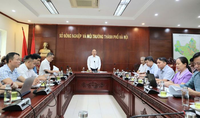 Quang cảnh hội nghị. Ảnh: NM