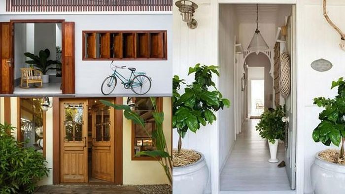 Nếu đặt hai bên cửa, chậu cây không nên quá lớn đến mức che khuất hoặc thu hẹp lối đi.