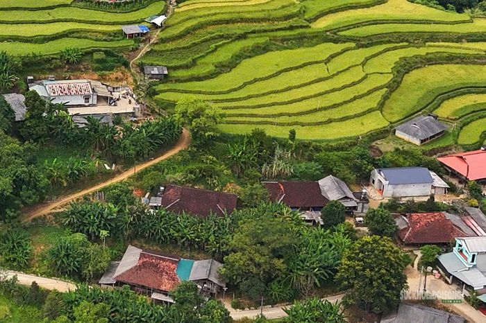 Những nếp nhà nằm xen giữa ruộng lúa và cây cối xanh tốt. Ảnh: Anh Đoàn