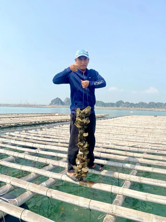 Các HTX mong muốn chính quyền thành phố có quyết sách giải quyết kiến nghị của nhân dân một cách thấu tình đạt lý, đảm bảo hài hòa lợi ích.