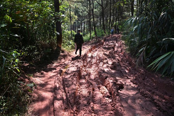  Cách đó 60 km, tại Tràng Định (Lạng Sơn), đường rừng lầy lội, nhiều đoạn bị xói lở khiến việc di chuyển và vận chuyển vật tư phục vụ kéo cáp truyền trở nên hiểm trở. Có những đoạn đường, lực lượng thi công phải đi bộ để tiếp cận vị trí triển khai. 
