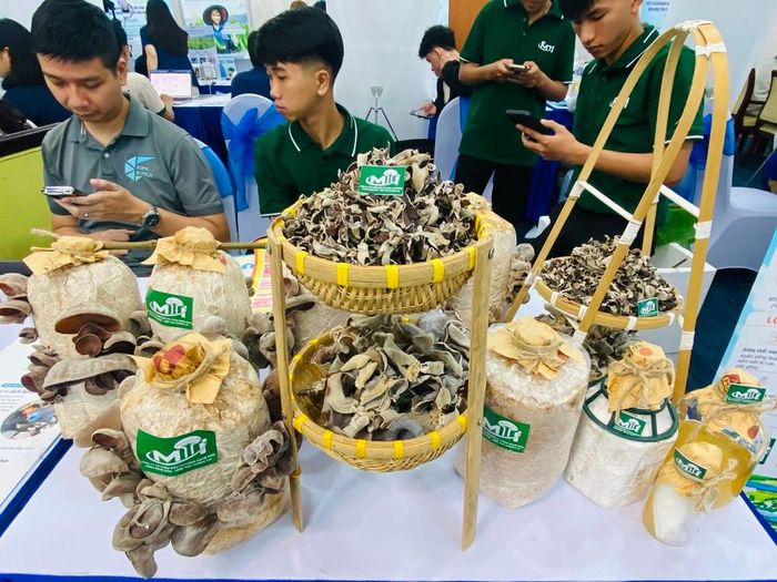 ... vừa ứng dụng công nghệ cao