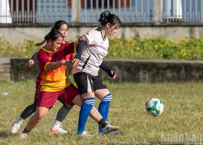  Những đôi chân vốn đã quen với ruộng nương và công việc gia đình, thì trên sân bóng﻿ là những bước chạy mạnh mẽ, những pha tranh bóng quyết liệt của các cô gái dân tộc. 