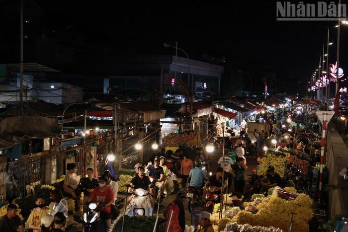 Chợ hoa Quảng An tiếp tục là đầu mối cung cấp hoa tươi cho nhiều cửa hàng và người tiêu dùng tại Hà Nội, góp phần đưa những món quà ý nghĩa đến tay người nhận trong dịp Phụ nữ Việt Nam 20/10.