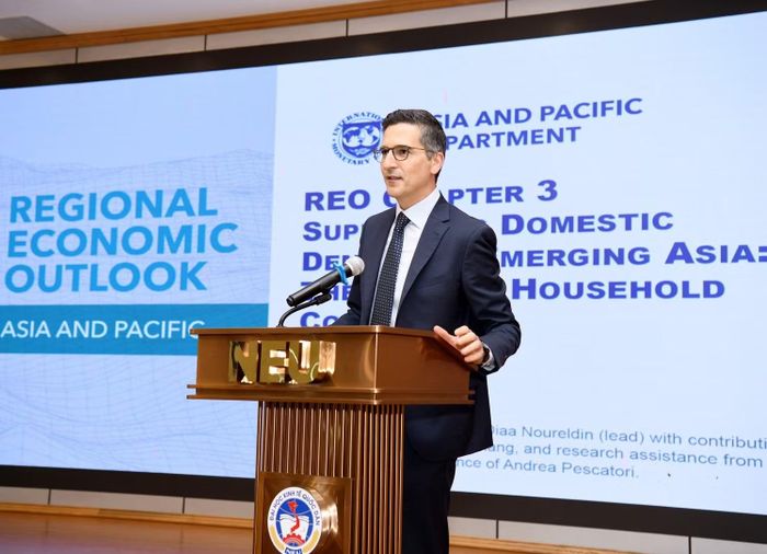 Ông Diaa Noureldin, chuyên gia Kinh tế Cao cấp thuộc Phòng Nghiên cứu khu vực của Vụ châu Á - Thái Bình Dương của IMF trao đổi tại hội thảo. (Ảnh: BTC)
