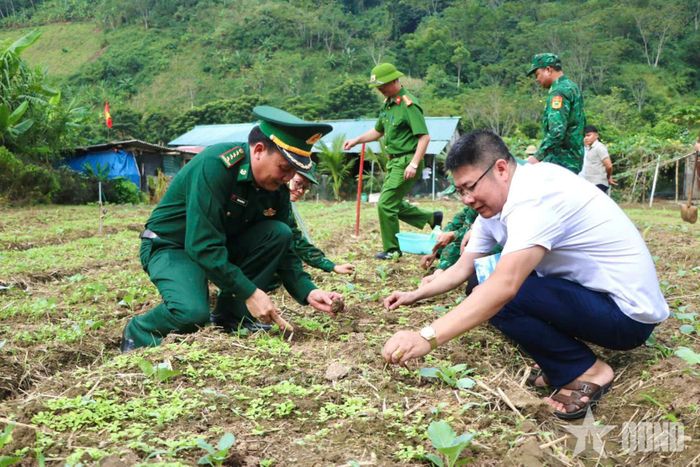 Các đại biểu tham gia chăm sóc vườn rau trong mô hình. 