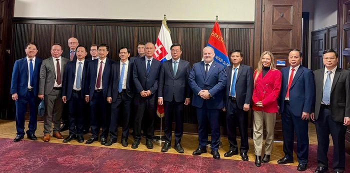 Đoàn đại biểu TPHCM tại buổi làm việc với Quốc vụ khanh Bộ Văn hoá Slovakia. Ảnh: MINH QUẾ