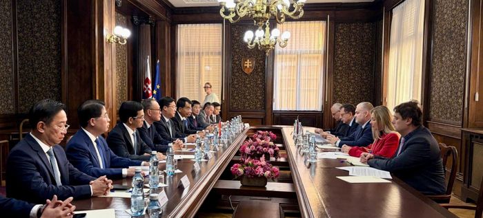 Đoàn đại biểu TPHCM làm việc với Bộ Văn hoá Slovakia. Ảnh: MINH QUẾ