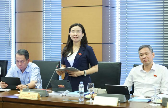 ĐB Nguyễn Phạm Duy Trang phát biểu tại buổi thảo luận. Ảnh: QUANG PHÚC