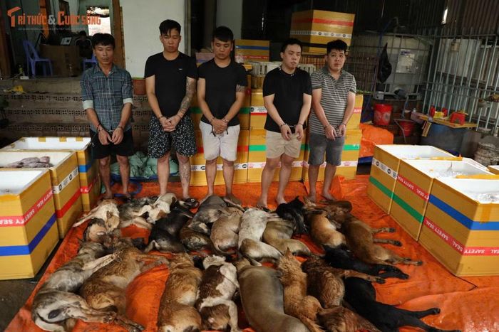 Các đối tượng và tang vật trong đường dây trộm, tiêu thụ thịt chó