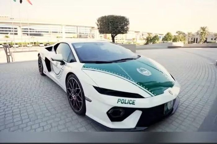 Theo Thiếu tướng Saeed Al Hajri, Giám đốc Sở Điều tra Hình sự Dubai, việc bổ sung này phản ánh nỗ lực của thành phố nhằm cân bằng giữa sự hiện diện an ninh rõ ràng và việc tiếp cận cộng đồng.