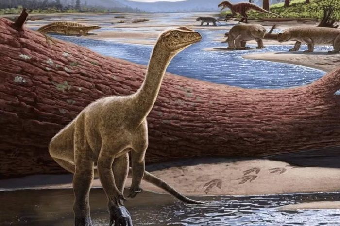 Nhóm sauropodomorph gồm những khủng long ban đầu đi bằng hai chân.