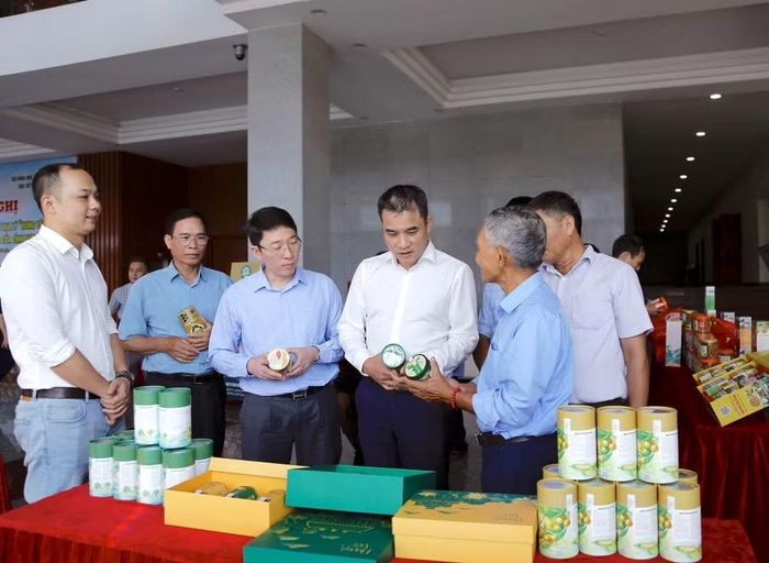 Ông Phạm Bảo Sơn, Phó Chủ tịch UBND tỉnh Hưng Yên tham quan gian hàng giới thiệu các sản phẩm chế biến từ nhãn lồng. Ảnh: Đinh Chiến
